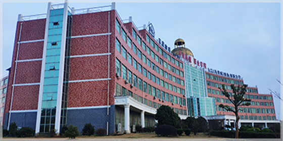 未標題-6.jpg