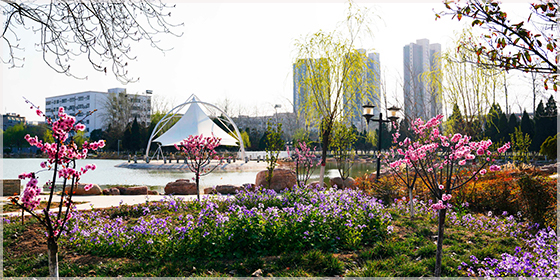 未標題-5.jpg 未標題-5.jpg